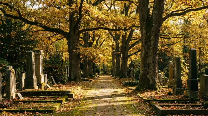 Alter Baumbestand und ruhige Wege auf einem Friedhof in Ulm